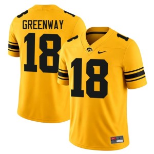 Gold Iowa College Football Mens #18 Limited Chad Greenway Jerseys 387568-687