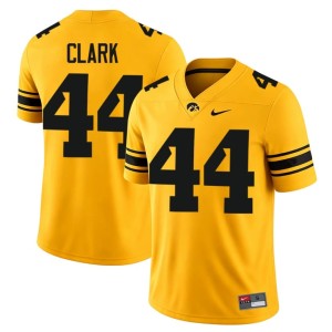 Gold College Football #44 Men Hawks Dallas Clark Stitched Jersey 889043-695