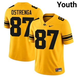 Gold Iowa Hawkeyes #87 Youth College Football Addison Ostrenga Alumni Jersey 760456-741