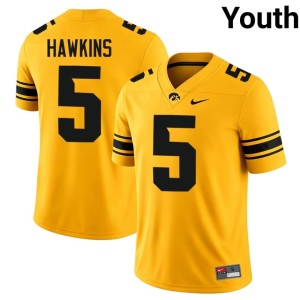 Gold Anthony Hawkins #5 Official College Football Youth University of Iowa Jersey 690398-417