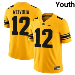 Gold College Football #12 Iowa Billy Weivoda 2026 Youth Jersey 265833-381