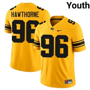 Gold Bryce Hawthorne #96 Youth Iowa Hawkeyes Player College Football Jerseys 698899-103