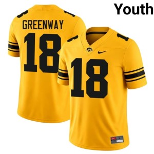 Gold College Football Chad Greenway U of I Youth #18 NCAA Jersey 167999-968