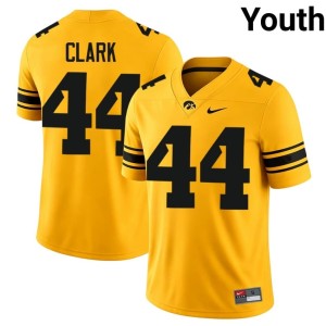 Gold IOWA Hawkeyes #44 College Football Dallas Clark Player Youth Jersey 978451-235