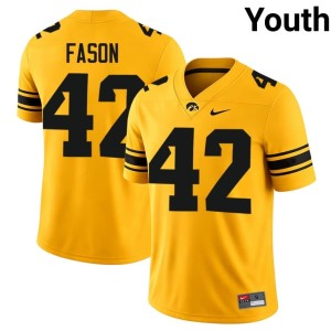 Gold Youth University College Football U of I David Fason #42 Jersey 845171-159