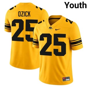 Gold Youth College Football #25 2026-27 Eli Ozick Iowa Hawkeyes Jerseys 902157-711