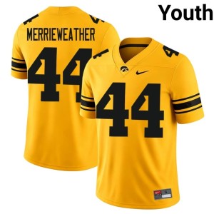 Gold Kenneth Merrieweather High School College Football Hawks Youth #44 Jersey 711838-694