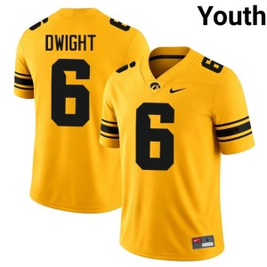 Gold Hawkeyes College Football #6 Game Tim Dwight Youth Jerseys 952454-617