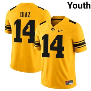 Gold College Football #14 Tony Diaz Youth Official IOWA Hawkeyes Jersey 443089-601