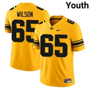 Gold College Football #65 Hawks Alumni Youth Trent Wilson Jersey 807422-451